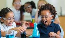 Junior Scientist