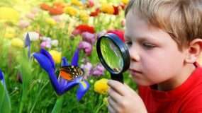 Jr. Eco Explorer