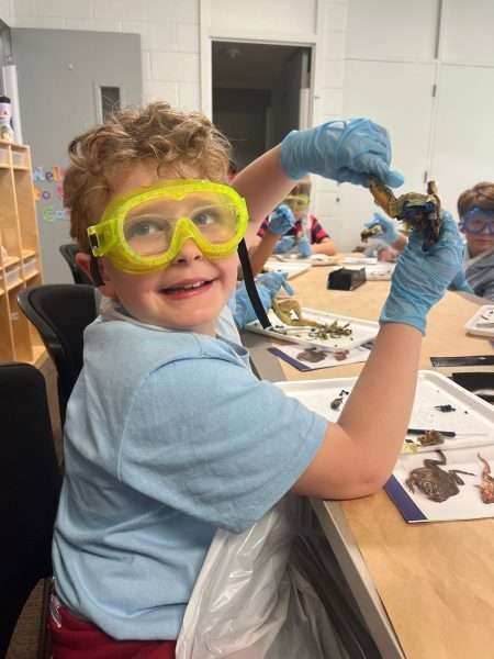 Young student wearing yellow safety goggles and blue gloves lifts a specimen during a classroom science activity with peers in the background.
